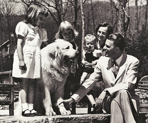 Billy Graham in the Dog House