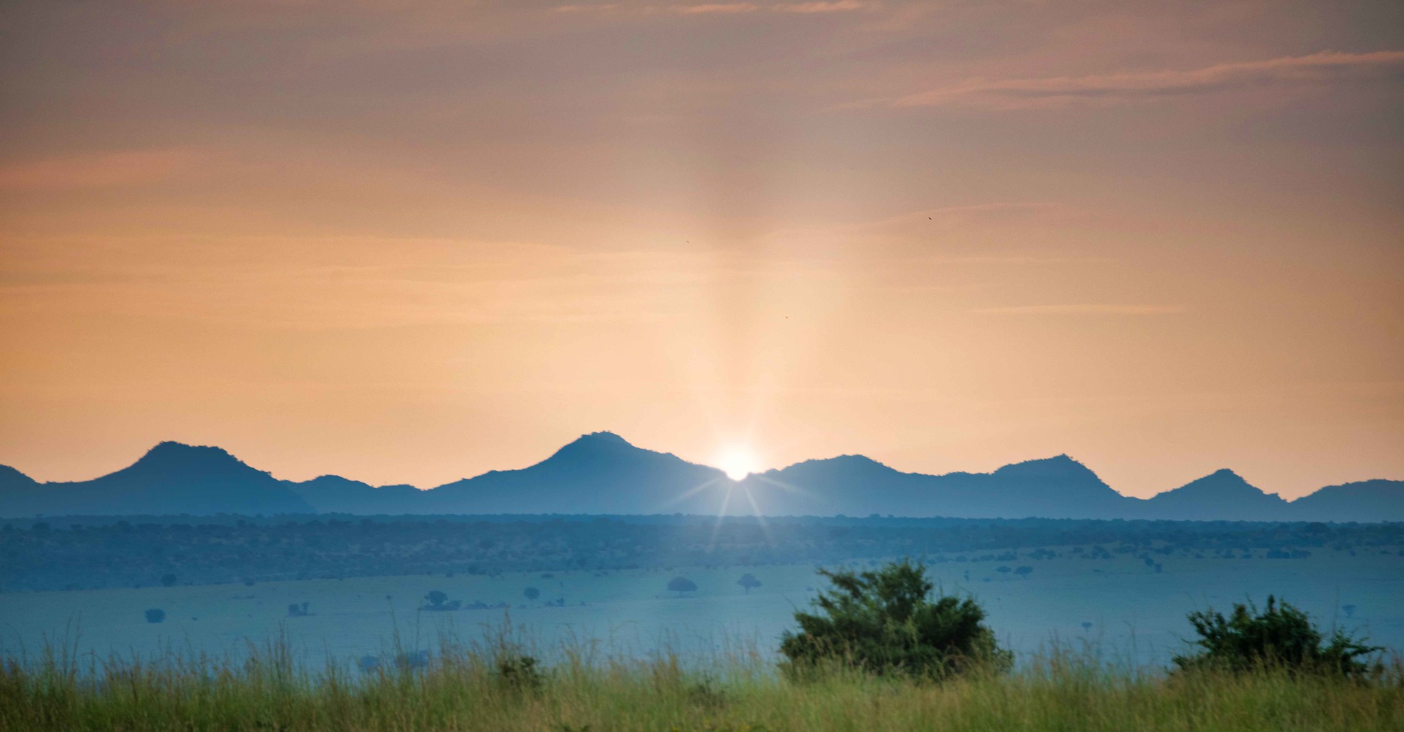 History of the OPC Uganda Mission with David Okken